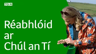Réabhlóid ar Chúl an Tí | Ag tosú Dé Domhanigh 19/04 ag 20:00 ar TG4