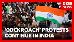 Thousands of students continue 'cockroach' protest in Delhi | BBC News