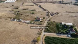 AKTUALE - Banorët e fshatit Dushiq kërkojnë rregullimin e rrugës