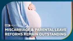 Years later, Miscarriage Leave and Parental Leave reforms remain outstanding