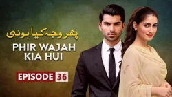 Phir Wajah Kya Hui Episode 36 | Faria Sheikh , Rizwan Ali Jaffri, Alyy Khan | Latest Pakistani Drama