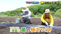 6/19 "Sata-Fuku Plus" Broadcast Content
